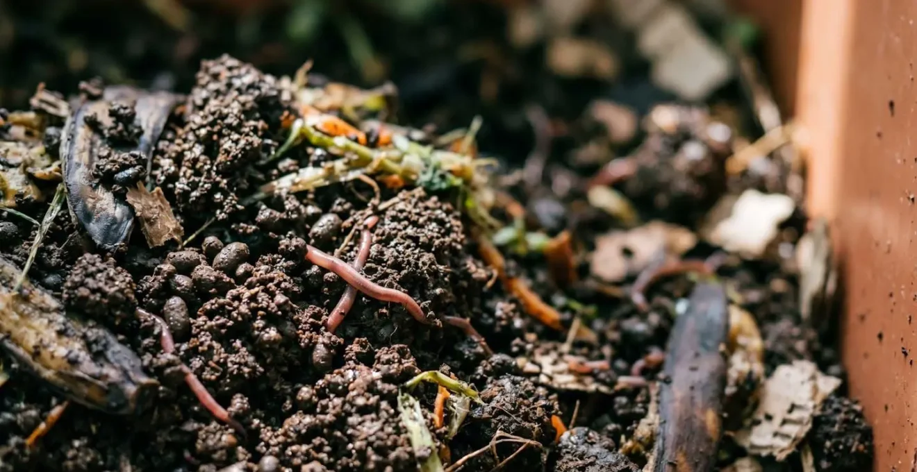 Gros plan sur un lombricomposteur à plateaux avec texture de terre et déchets organiques en décomposition