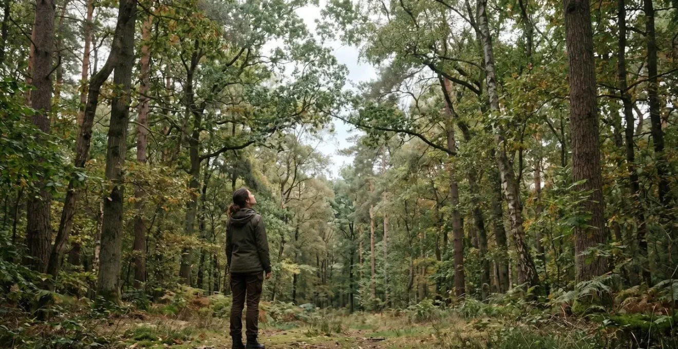 Observateur contemplatif dans un environnement forestier naturel